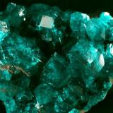 Dioptase
Tsumeb, Namibia
crytals up to 5 mm (Author: Herman van Dennebroek)