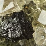 Sphalerite with fluorite
Beaumont Mine, Northumberland, UK
25 mm sphalerite, fluorites to 20 mm. (Author: Ru Smith)