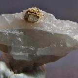 Gold on Quartz.
Kalgoorlie Gold Mines, Kalgoorlie, Western Australia, Australia.
16 x 8 mm (Gold to 3mm) (Author: nurbo)