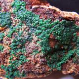 Conichalcite
Dolores Mine - Pastrana - Mazarrón - Murcia - Spain
10,5 x 5 cm (Author: panchito28)