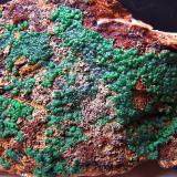 Conichalcite
Dolores Mine - Pastrana - Mazarrón - Murcia - Spain
10,5 x 5 cm (Author: panchito28)