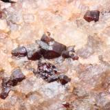 Almandino en Cuarzo
Antártida
5 x 4 cm aprox.
Detalle. Cristales rombodecaédricos de granate almandino. Encontrada en 1988. (Autor: Iván Blanco (PDM))