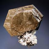 Pyrrhotite
Nikolaevskiy Mine, Da’negorsk, Primorskiy Kray, Russia
4.5 x 5.0 cm.
Thick hexagonal prisms to 5 cm on a small matrix composed of fine needle-like quartz crystals. (Author: crosstimber)