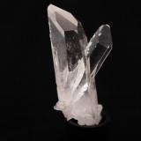 Quartz
Miller Mountain Mine, Garland County, Arkansas, USA
14.1 x 6.3 x 5.4 cm
Penetrator Crystal
Quartz in Quartz Penetrator Crystal (Author: Don Lum)