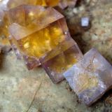 Fluorite
Zehntausend Ritter Mine, Frohnau, Annaberg District, Erzgebirge, Saxony, Germany
Detail picture of some bi-coloured crystals, FOV 3 cm (Author: Tobi)