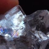 FluoritaEmilio Mine, Obdulia vein, Caravia mining area, La Rubiera, Loroñe, Colunga, Comarca de la Sidra, Principality of Asturias (Asturias), Spain4 x 4 cm. (Autor: javier ruiz martin)