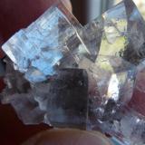 FluoritaEmilio Mine, Obdulia vein, Caravia mining area, La Rubiera, Loroñe, Colunga, Comarca de la Sidra, Principality of Asturias (Asturias), Spain4 x 4 cm. (Autor: javier ruiz martin)