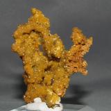 Pyromorphite
Bunker Hill Mine, Idaho, USA
6.5 x 4 x 2 cm (Author: Joseph D'Oliveira)