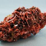 Crocoite
Adelaide Mine, Dundas, Tasmania, Australia
8 x 5.5 x 4 cm (Author: Joseph D'Oliveira)