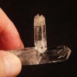 Quartz
Jeffrey Quarry, Pulaski County, Arkansas, USA
5.6 x 3.4 x 1.2 cm (Author: Don Lum)