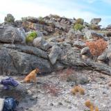 Our destination:  a mountainous area which suffered from a recent fire.  Note the white quartz in the foreground. (Author: Pierre Joubert)