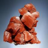 Calcite
Buena Tiera Mine, Francisco Portillo, Santa Eulalia, Chihuahua, Mexico
7.5 x 8.4 cm.
Lustrous calcite rhombs to 2.5 cm on edge colored reddish brown by iron oxides. (Author: crosstimber)