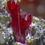 Proustite
Schlema, Erzgebirge, Sax.
Proustite is more rare than pyrargyrite (Author: Roger Warin)