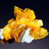 Wulfenite
San Francisco Mine, 5th Level, Cucurpe, Sonora, Mexico
5.3 x 6.4 cm.
Wafer-thin wulfenite crystals to 2.0 cm. hosting small botryoidal orange mimetite crystals and and bladed white barite. (Author: crosstimber)