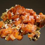 Wulfenite
Ahumada Mine, Los Lamentos District, Chihuahua, Mexico
5.0 x 6.8 cm.
Bright orange pseudocubic wulfenite crystals to 1.0 cm associated with drusy brown descloizite and white calcite. (Author: crosstimber)