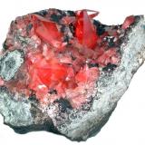 Rodocrosita, fluorita
Mina Uchucchacua, Provincia de Oyon, Departamento de Lima, Perú
84 mm x 65 mm (Autor: Carles Millan)