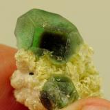 Fluorite with muscovite
Erongo mountains; Namibia
26 x 15 x 15 mm (13 mm)
Same specimen as above. (Author: Pierre Joubert)