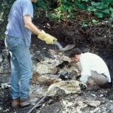 Brett M. and Jay M. at Silver Crater (Author: John Medici)