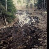 Silver Crater entrance road in April (Author: John Medici)