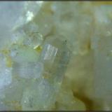 Milarita
Sierra Tejeda - Málaga - Andalucía - España
cristales entre 1 y 3 mm (Autor: Mijeño)