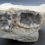 Celestina
Costa de l&rsquo;Aguda, Torà (Torà de Riubregós), La Segarra, LLeida, Catalunya, España
7 x 4 cm (Autor: davidcaballe)