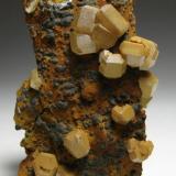 Mimetita
Mt. Bonnie Mine, Grove Hill, Victoria-DaleyShire, Northern Territory, Australia
6 x 4 x 4 cm.
Para mí gusto, las mejores mimetitas. Los cristales suelen ser tabulares en este yacimiento; sin embargo, en esta pieza son prismáticos o a medio camino entre ambos hábitos (Autor: Antonio Alcaide)