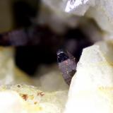 Anatasa.
Macael, Almería, Andalucía, España.
Cristal de 2,5 mm. (Autor: Antonio Carmona)