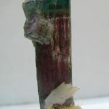 Elbaita
Minas Gerais, Región del Sudoeste, Brasil
52 x 22 15 mm. (Autor: José Luis Zamora)