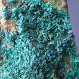 ClinoatacamitaMina La Amorosa, Concesión San Rafael, Villahermosa del Río, Comarca Alto Mijares, Castellón / Castelló, Comunidad Valenciana / Comunitat Valenciana, España3 x 2 cm (Autor: javier ruiz martin)