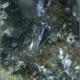 Hematites
Sierra de Mijas - Mijas - Málaga - Andalucía - España
cristal de 4 mm aprx. (Autor: Mijeño)