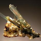 Gypsum
Naica, Mun. de Saucillo, Chihuahua, Mexico
5.5 x 9.5 cm.
Slender blades of transparent gypsum to 6.0 cm on a triangular plate of smaller crystals colored greenish brown by iron oxides. (Author: crosstimber)