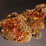 Wulfenite
Aurora Mine, Cuchillo Parado, Mun. de Coyame, Chihuahua, Mexico
7.0 x 8.2 cm.
Brownish-orange pyramidal crystals to 6 mm lining cavities in gossan matrix. (Author: crosstimber)
