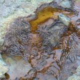 The extremophiles paradise: biogenic terraces in the acidic waters of the river Tinto. The yellow material in the shore is biogenic sulfur. (Author: Cesar M. Salvan)