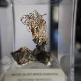 Silver wires with Acanthite
Imiter Mine, Ouarzazate Province, Morocco
4.7 x 3.6 x 2.9 cm (Author: Don Lum)