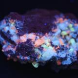 Apatito, Calcita, Hematites - Fluorescente
La Celia, Jumilla, Murcia, España.
56 x 45 x 30 mm
Luz UV onda corta. (Autor: Daniel C.M.)