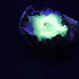 Ópalo - Fluorescente
Thomas Range (Topaz Mountain), Juab County, Utah, USA
40 x 25 x 25 mm
UV onda larga. (Autor: Daniel C.M.)