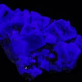 Fluorita - Fluorescente
Rogerley Mine, Frosterley, Weardale, North Pennines, Co. Durham, Inglaterra, Reino Unido.
6 x 5 cm
Luz UV onda larga. (Autor: Daniel C.M.)