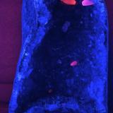 Cuarzo Amatista y Calcita - Fluorescente
Iraí, Alto Uruguai Region, Rio Grande do Sul, Brasil.
18 x 35 x 14 cm
Luz UV onda corta. (Autor: Daniel C.M.)