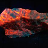 Flogopita - Fluorescente
Langban, Suecia
65 x 40 x 18 mm
Bajo luz ultravioleta de onda corta (256 nm aprox.). La Flogopita da un color rojo anaranjado. (Autor: Juan María Pérez)