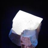 Powellita - Fluorescente
Nasik, India
53 x 49 x 43 mm (el cristal tiene 31 mm de arista)
Bajo luz ultravioleta de onda corta (256 nm aprox.). La Powellita da un color blanco amarillento intenso. (Autor: Juan María Pérez)