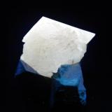 Powellita - Fluorescente
Nasik, India
53 x 49 x 43 mm (el cristal tiene 31 mm de arista)
Bajo luz ultravioleta de onda corta (256 nm aprox.). La Powellita es de color blanco amarillento intenso. (Autor: Juan María Pérez)