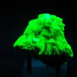 Willemita - Fluorescente
cerca de Lusaka, Zambia
50x40x32 mm
Luz UV onda corta.
Willemita es verde. (Autor: Juan María Pérez)