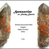 Spessartine on smoky quartz
Wushan Spessartine Mine, Tongbei, Fujian Province, China
Specimen height 6 cm (Author: Tobi)