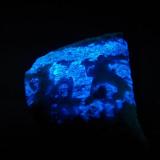 Scheelita con Cuarzo - Fluorescente
Standard Mining &amp; Milling Company Mine, Grass Valley, Nevada Co, California, EEUU
74 x 54 x 38 mm
Luz UV onda corta.
Scheelita es azul. (Autor: Juan María Pérez)