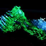 Hidrozincita, Willemita
Plombieres (Bleyberg), Verviers, Lieja, Bélgica
6 x 2 x 2 cm
Iluminada con UV Onda Corta. La hidrozincita es azul y la willemita verde. (Autor: Iván Blanco (PDM))