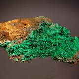 Conichalcite ps. hemimorphite
Ojuela Mine, Mapimi, Durango, Mexico
5.3 x 11.5 cm.
Bright green conichalcite replacing radiating groups of hemimorphite on typical brown gossan matrix. (Author: crosstimber)