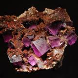 Fluorite
Ojuela Mine, Mapimi, Durango, Mexico
7.0 x 8.5 cm.
Cubic purple fluorite to 1.5 cm on edge. (Author: crosstimber)