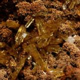 Legrandite
Ojuela Mine, Mapimi, Durango, Mexico
5.0 x 9.5 cm. FOV=2.0 cm.
Typical brown gossan matrix hosting single crystals and sprays of yellow transparent legrandite crystals to 0.5 cm. (Author: crosstimber)