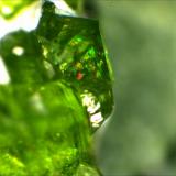 Garnet Group, Andradite, Demantoid
Jeffery Quarry, BGS Asbestos, Canada
6.35mm
 (Author: Mark Ost)