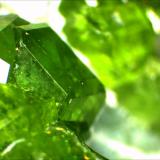 Garnet Group, Andradite, Demantoid
Jeffery Quarry, BGS Asbestos, Canada
12mm
 (Author: Mark Ost)